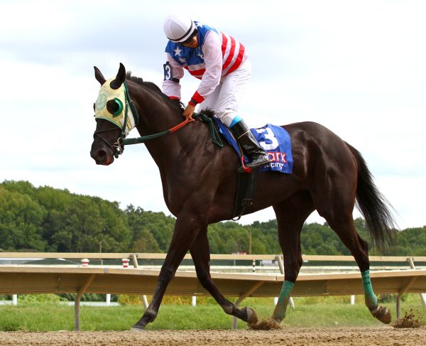 Ten Note Melody #3 ridden by Yeris Jerry Ortega won the $50,000 Longines World Fegentri Championship for Gentlemen Riders maiden race at Parx Racing in Bensalem, Pennsylvania.  Photo By Taylor Ejdys/EQUI-PHOTO