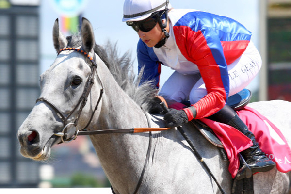 Deauville - 03/08/2014 - PRIX VICOMTE A. - FEGENTRI WORLD CUP OF NATIONS - MIKELTOS, Lara Le Geay -