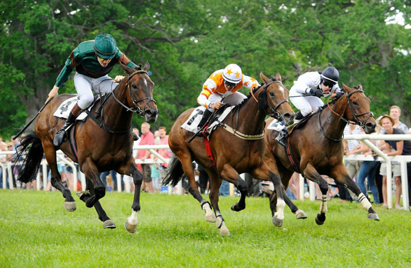Finish---three-horses---Stroemsholm---Sweden