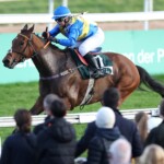 Artistic Mission siegt unter Emelie Gustavsson am 02.11.2025 Renntag in Köln. Copyright by Marc Ruehl - Veroeffentlichung nur gegen Honorar (zzgl.MwSt), Namensnennung und Beleg, Bank Routing Number: BIC GENODED1PAF, Bank Account Number: IBAN DE04 3706 2600 1201 6180 17, Steuer-Nr.: 203/5266/0306, Ust_Id_Nr.: De 122081417, Zur Gaulshuette 29, 50181 Bedburg, Phone: +49-(0)2272-83351, www.marcruehl.com, info@marcruehl.com, No Model Release, Abtretung von Persoenlichkeitsrechten der abgebildeten Person/Personen liegen nicht vor. Speichern in Bilddatenbanken oder Vervielfaeltigung ist ohne schriftliche Genehmigung nicht gestattet.