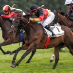 Sky Emperor siegt unter Nora Cronauer im Fegentri-Amateurrennen am 19.09.2026 Renntag in Berlin-Hoppegarten. Copyright by Marc Ruehl - Veroeffentlichung nur gegen Honorar (zzgl.MwSt), Namensnennung und Beleg, Bank Routing Number: BIC GENODED1PAF, Bank Account Number: IBAN DE04 3706 2600 1201 6180 17, Steuer-Nr.: 203/5266/0306, Ust_Id_Nr.: De 122081417, Zur Gaulshuette 29, 50181 Bedburg, Phone: +49-(0)2272-83351, www.marcruehl.com, info@marcruehl.com, No Model Release, Abtretung von Persoenlichkeitsrechten der abgebildeten Person/Personen liegen nicht vor. Speichern in Bilddatenbanken oder Vervielfaeltigung ist ohne schriftliche Genehmigung nicht gestattet.